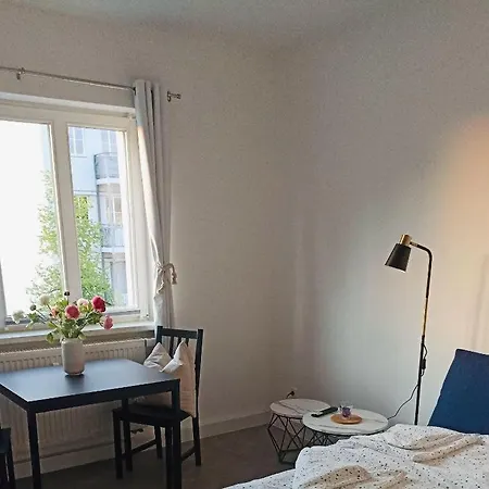 Gemuetliche, Ruhige In Direkter Uninaehe Apartment Chemnitz